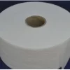 Hydrophilic Nonwoven