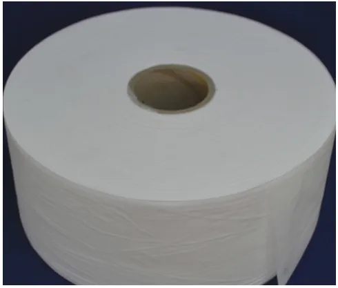 Hydrophilic Nonwoven