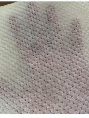 Hydrophilic Perforated Nonwoven